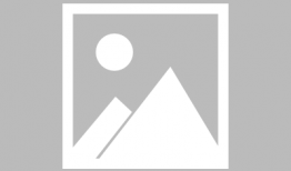 娱乐圈的大佬吃瓜,娱乐圈大佬们的“瓜田”风云录